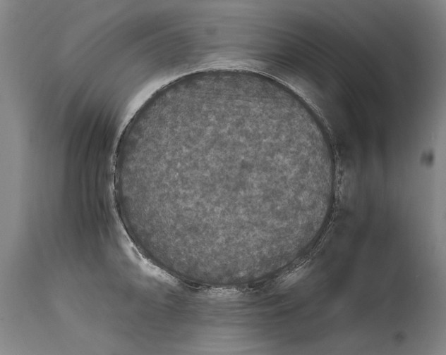 X0000115121094200911171322