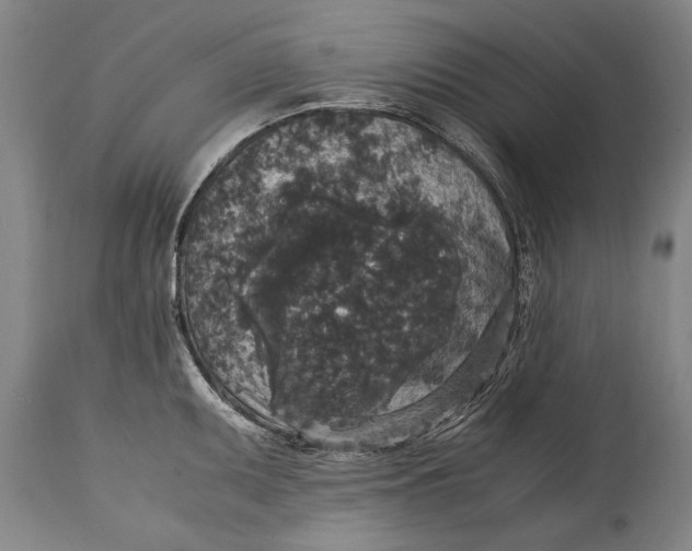 X0000115121095200911171322