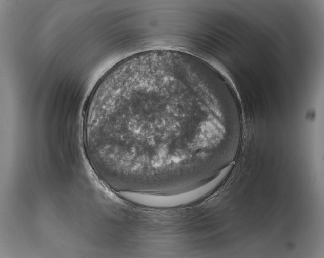 X0000115121096200911171322