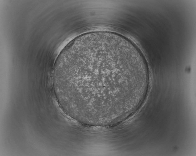 X0000115121097200911171322