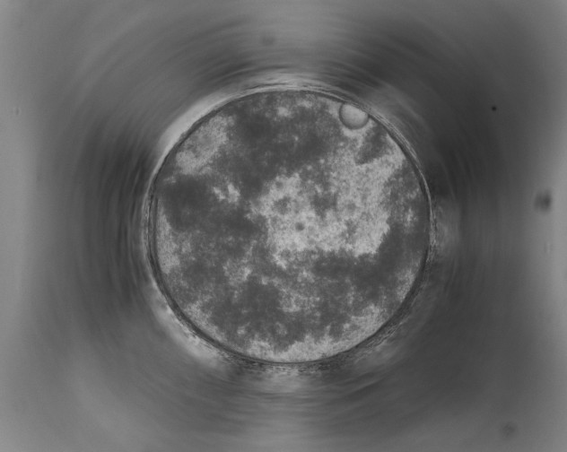 X0000115121098200911171322