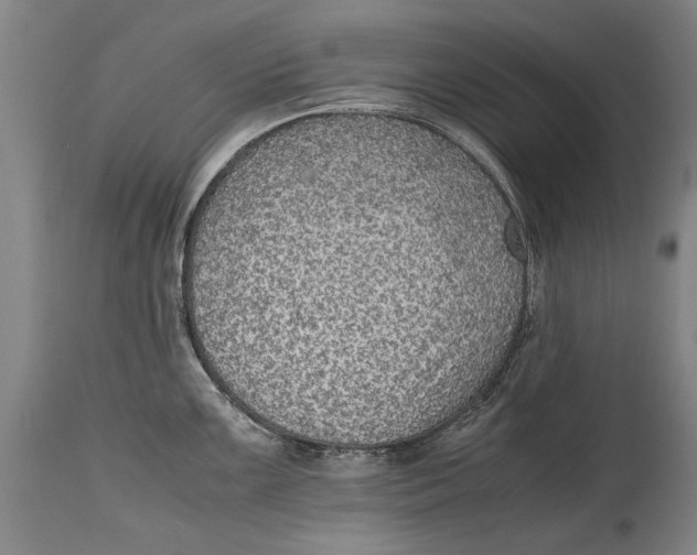 X0000115121099200911171322