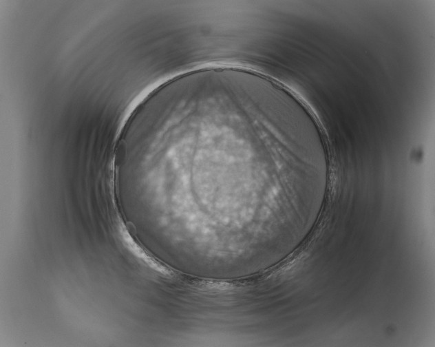 X0000115121100200911171322
