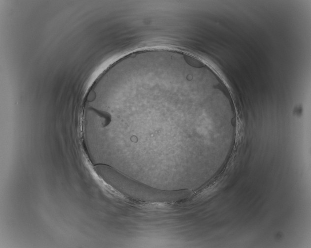 X0000115121101200911171322