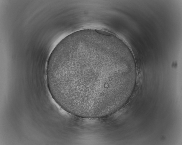X0000115121103200911171322