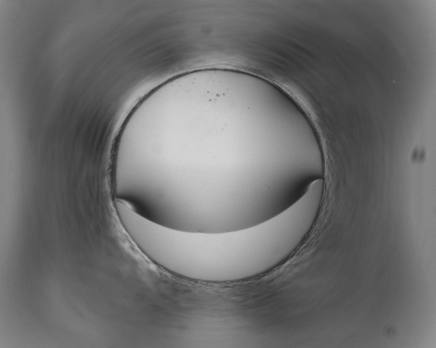X0000115121104200911171322