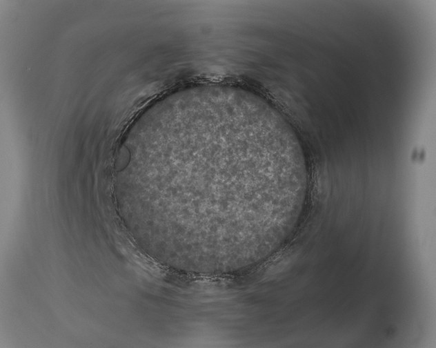 X0000115121105200911171321