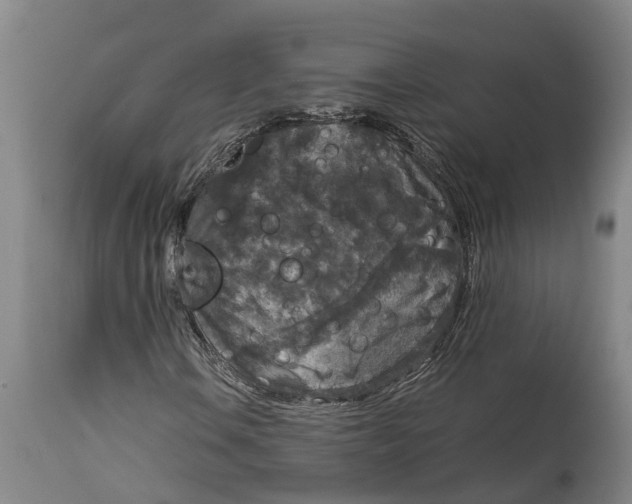 X0000115121106200911171321