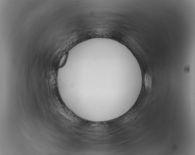 X0000115121107200911171321