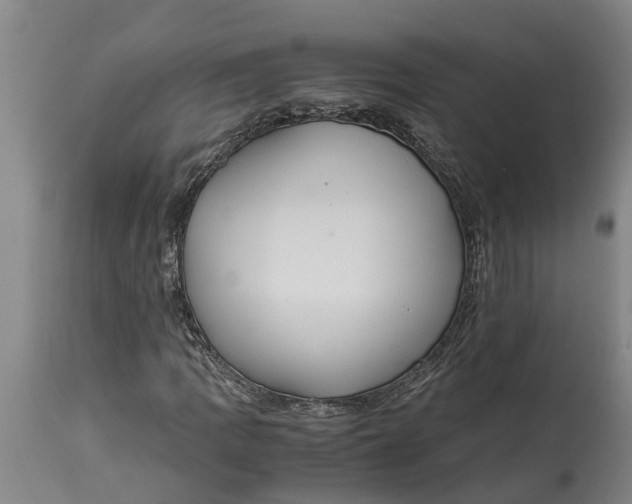 X0000115121109200911171321