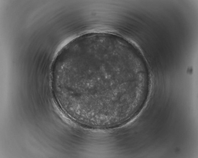 X0000115121114200911171321