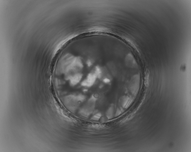 X0000115121117200911171321