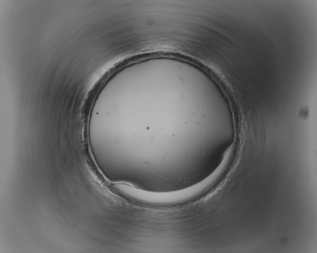 X0000115121118200911171321