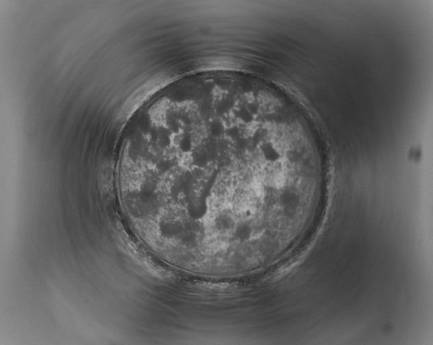 X0000115121121200911171322