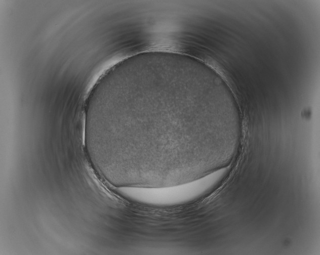 X0000115121123200911171322