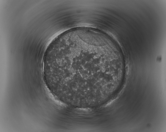 X0000115121125200911171322