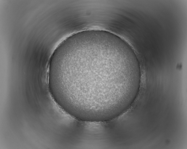 X0000115121126200911171322