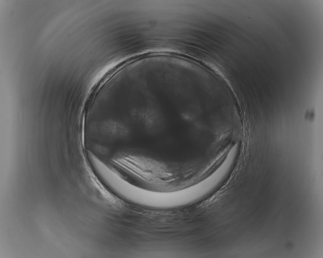 X0000115121127200911171322
