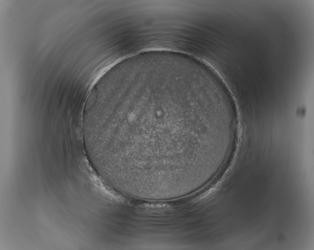 X0000115121129200911171322