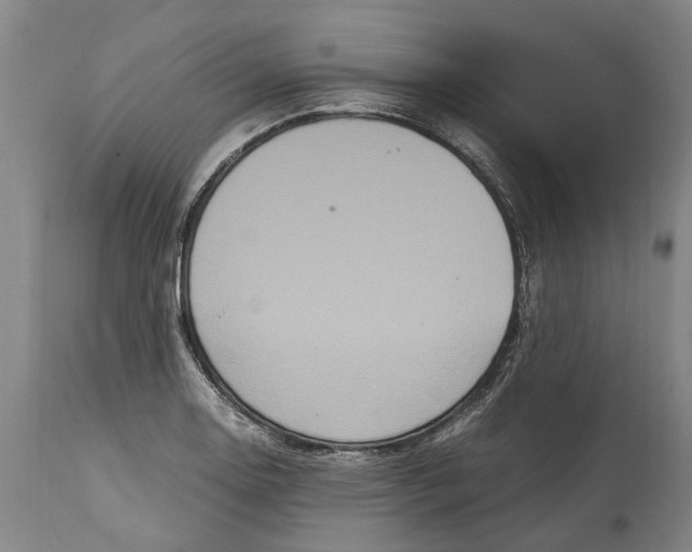 X0000115121130200911171322