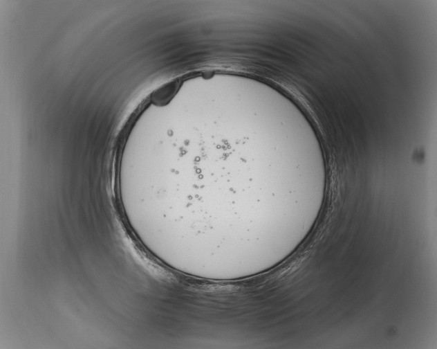 X0000115121131200911171322