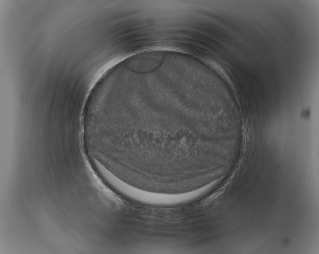 X0000115121133200911171322