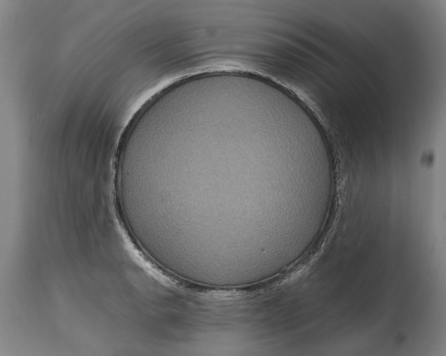 X0000115121134200911171322
