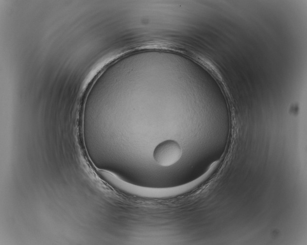 X0000115121138200911171322