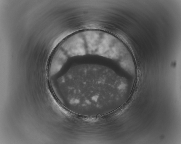 X0000115121141200911171322