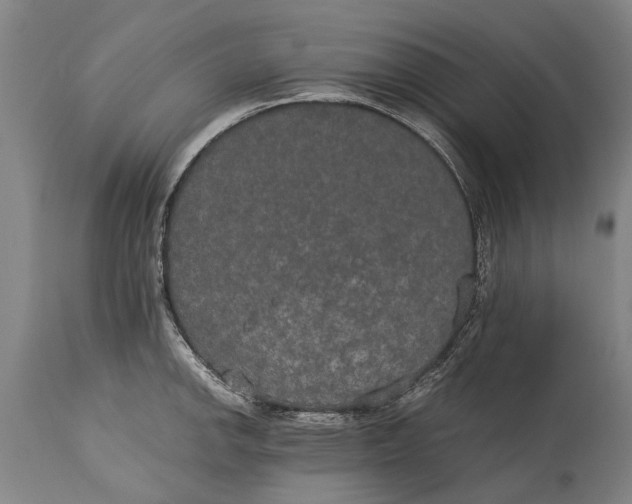 X0000115121142200911171322