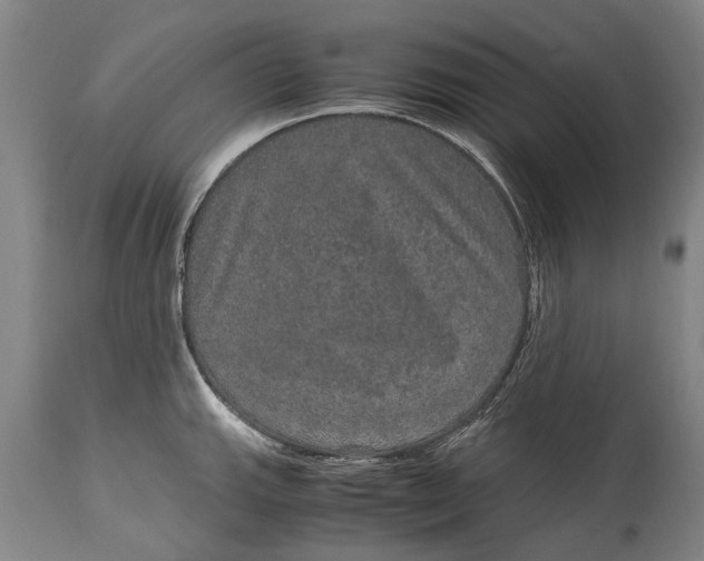 X0000115121143200911171322