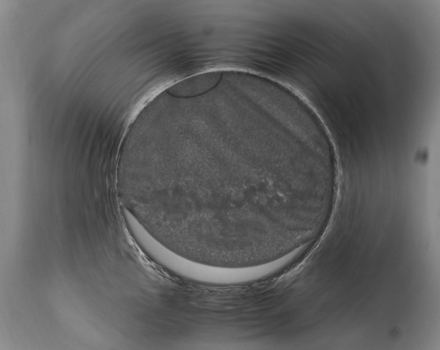 X0000115121145200911171322
