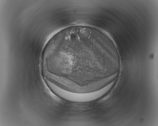 X0000115121149200911171322
