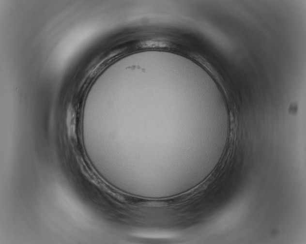 X0000115121151200911171322
