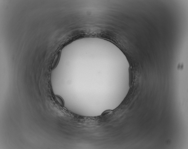 X0000115121153200911171321