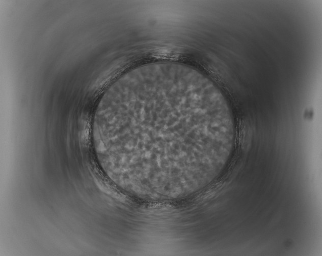 X0000115121154200911171321