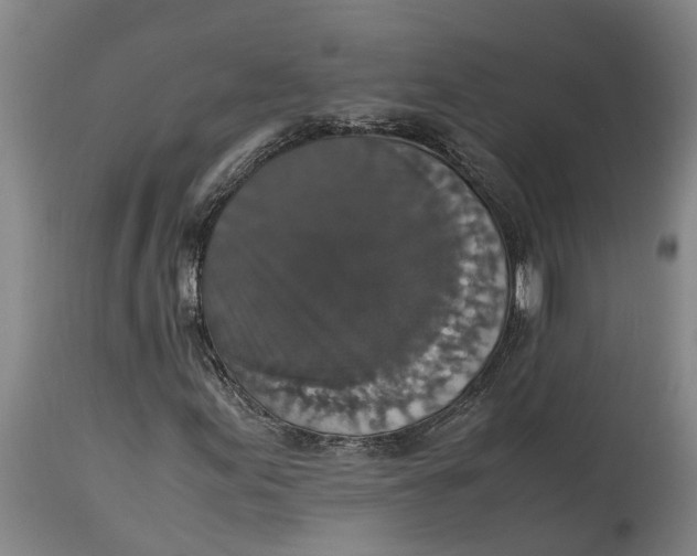 X0000115121155200911171321