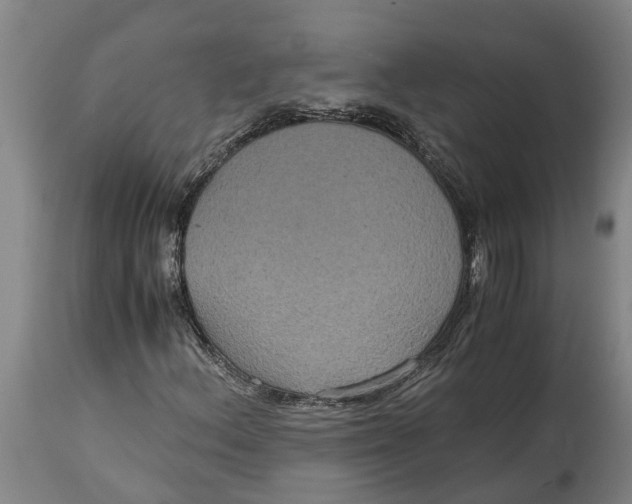X0000115121156200911171321