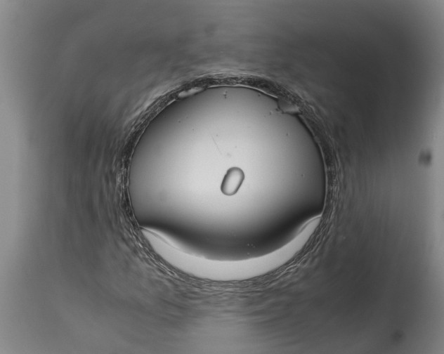 X0000115121157200911171321
