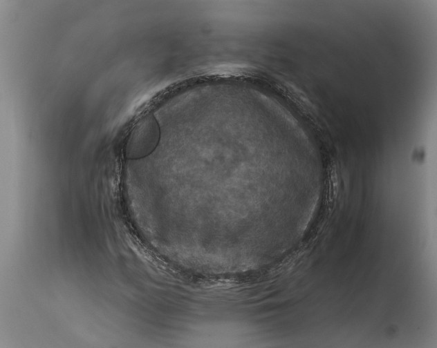 X0000115121158200911171321