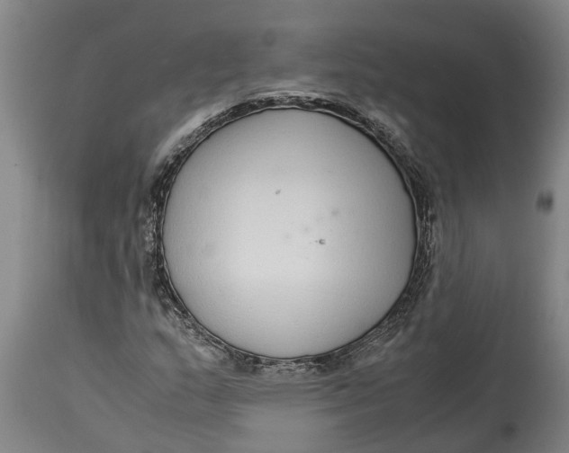 X0000115121159200911171321