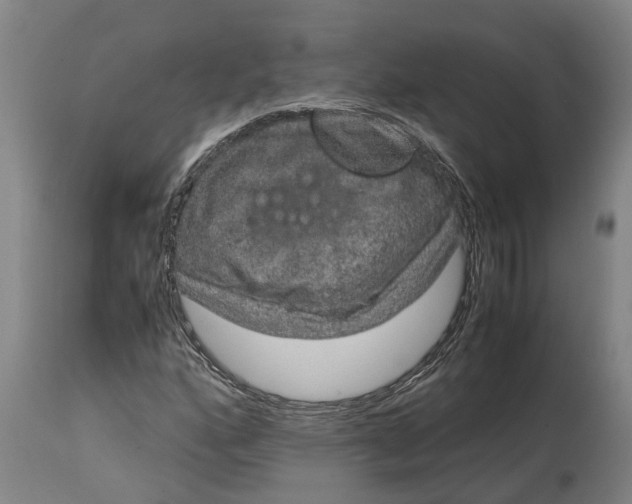 X0000115121160200911171321