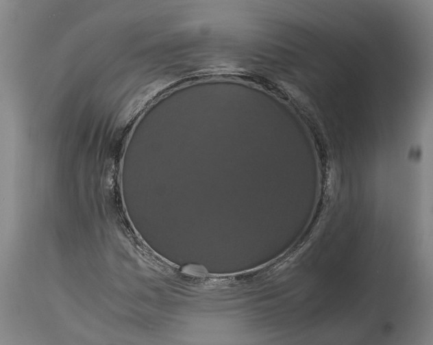 X0000115121161200911171321