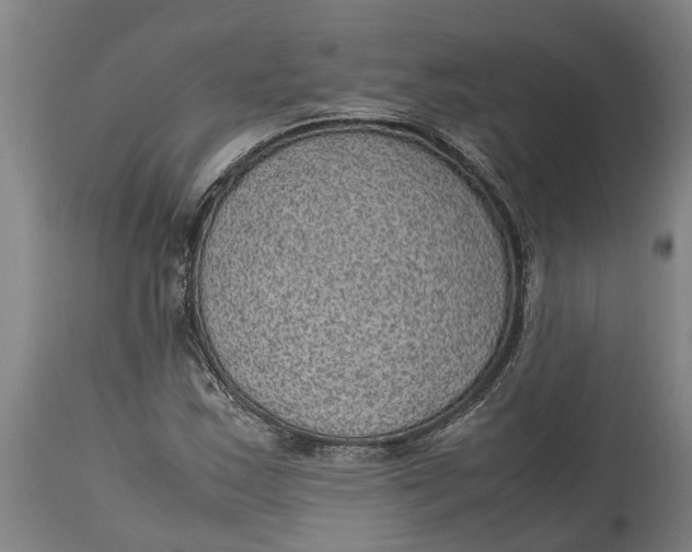 X0000115121163200911171321
