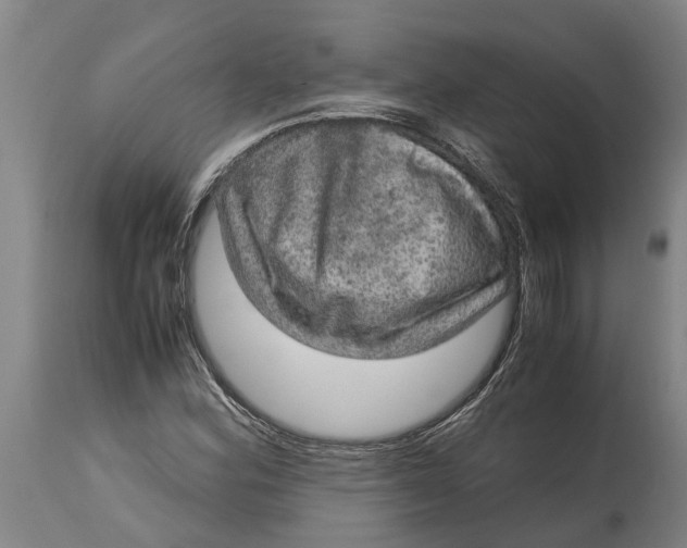 X0000115121164200911171321