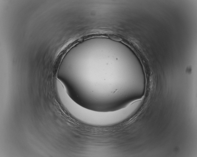 X0000115121165200911171321