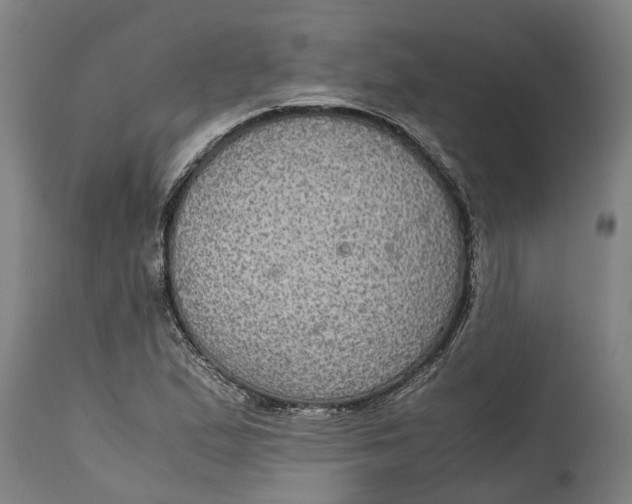 X0000115121167200911171321