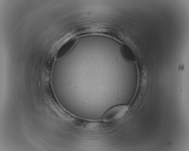 X0000115121169200911171321