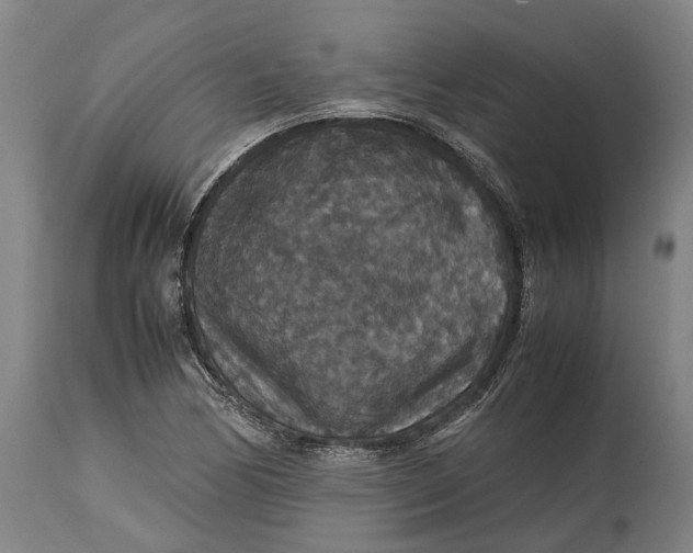 X0000115121170200911171321