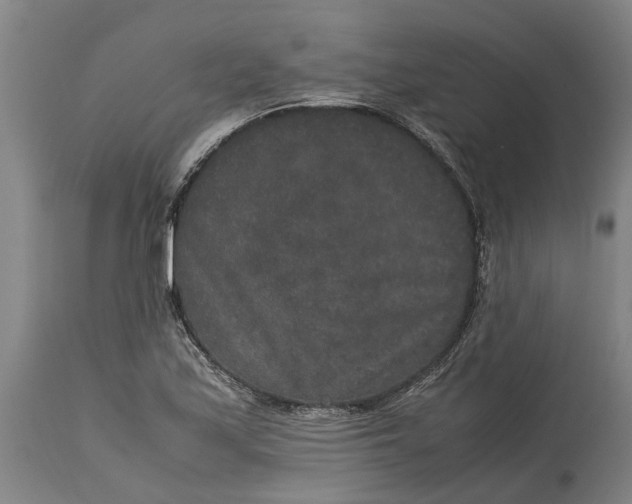 X0000115121171200911171321